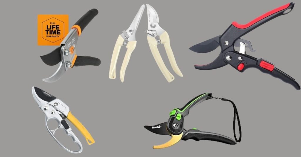 What are the different types of pruners?