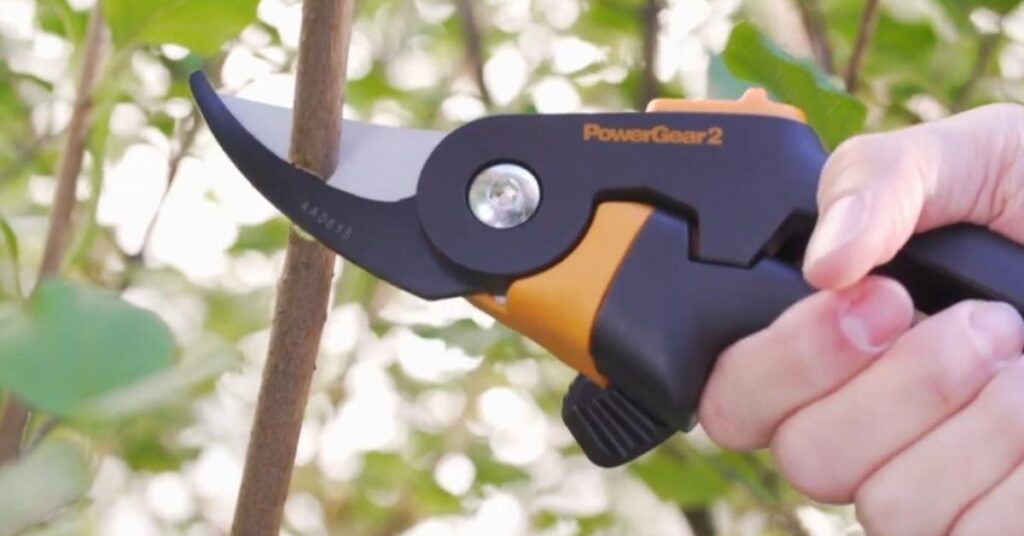 fiskars plus power-lever bypass garden pruning shears