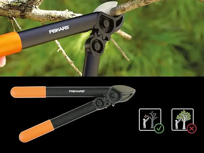 The Ultimate Guide to the Fiskars 2-Piece Tree Care Set: A Hands-On Review